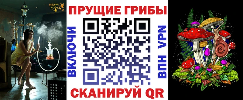 купить наркоту  Болотное  Галлюциногенные грибы GOLDEN TEACHER 