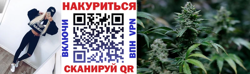 купить   Болотное  Канабис гибрид 